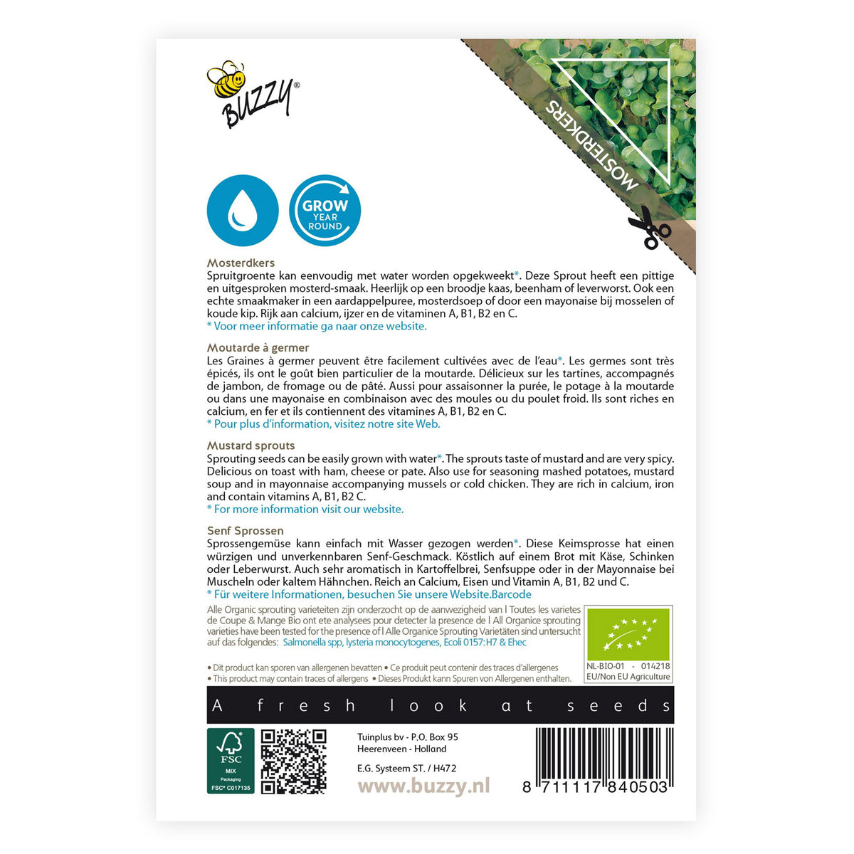 Mustard sprouts Sinapis alba - Bio Herb seeds