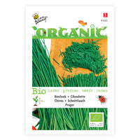 Chives Allium 'Prager' - Organic 4 m² - Herb seeds