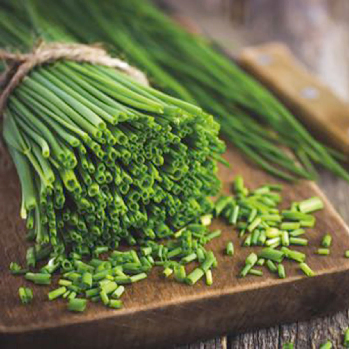 Chives Allium 'Prager' - Organic 4 m² - Herb seeds
