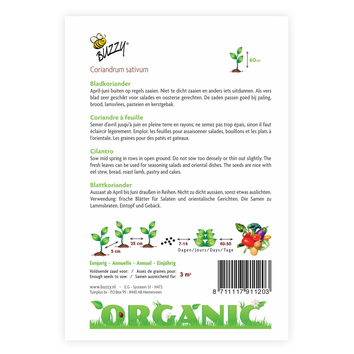 Coriander Coriandrum sativum - Organic 4 m² - Herb seeds