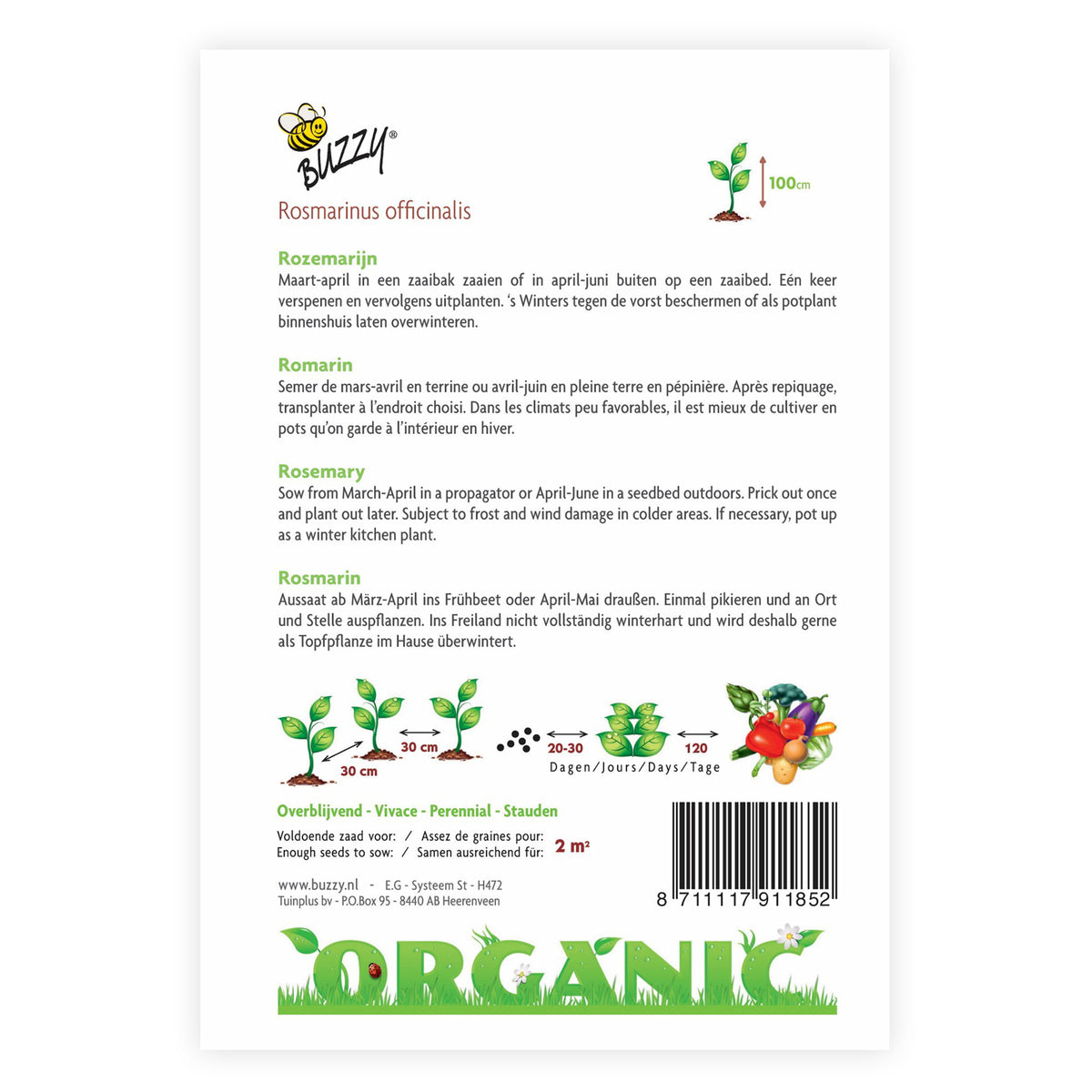 Rosemary Rosmarinus officinalis - Organic 2 m² - Herb seeds