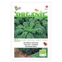 Kale Brassica 'Westlandse Winter' - Organic 40 m² - Vegetable seeds