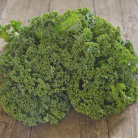 Kale Brassica 'Westlandse Winter' - Organic 40 m² - Vegetable seeds