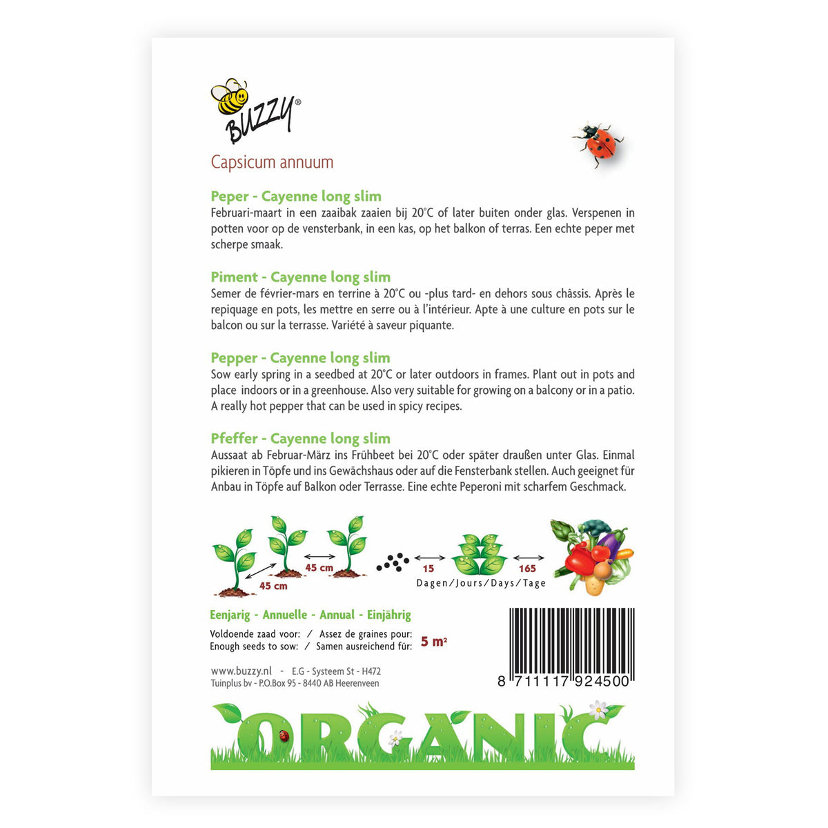 Chilli pepper Capsicum 'Long Slim' - Organic 5 m² - Vegetable seeds