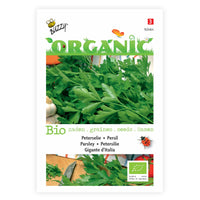 Parsley Petroselinum 'Gigante d'Italia' - Organic 20 m² - Herb seeds