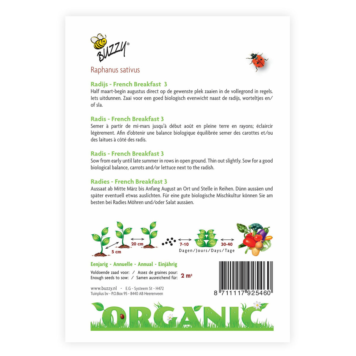 Radish Raphanus 'French Breakfast 3' - Organic 2 m² - Vegetable seeds