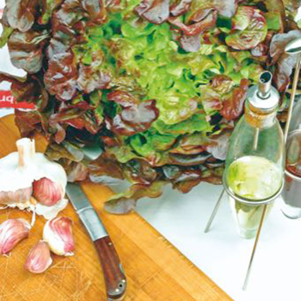 Oak leaf lettuce Lactuca 'Red salad bowl' - Organic 30 m² - Vegetable seeds