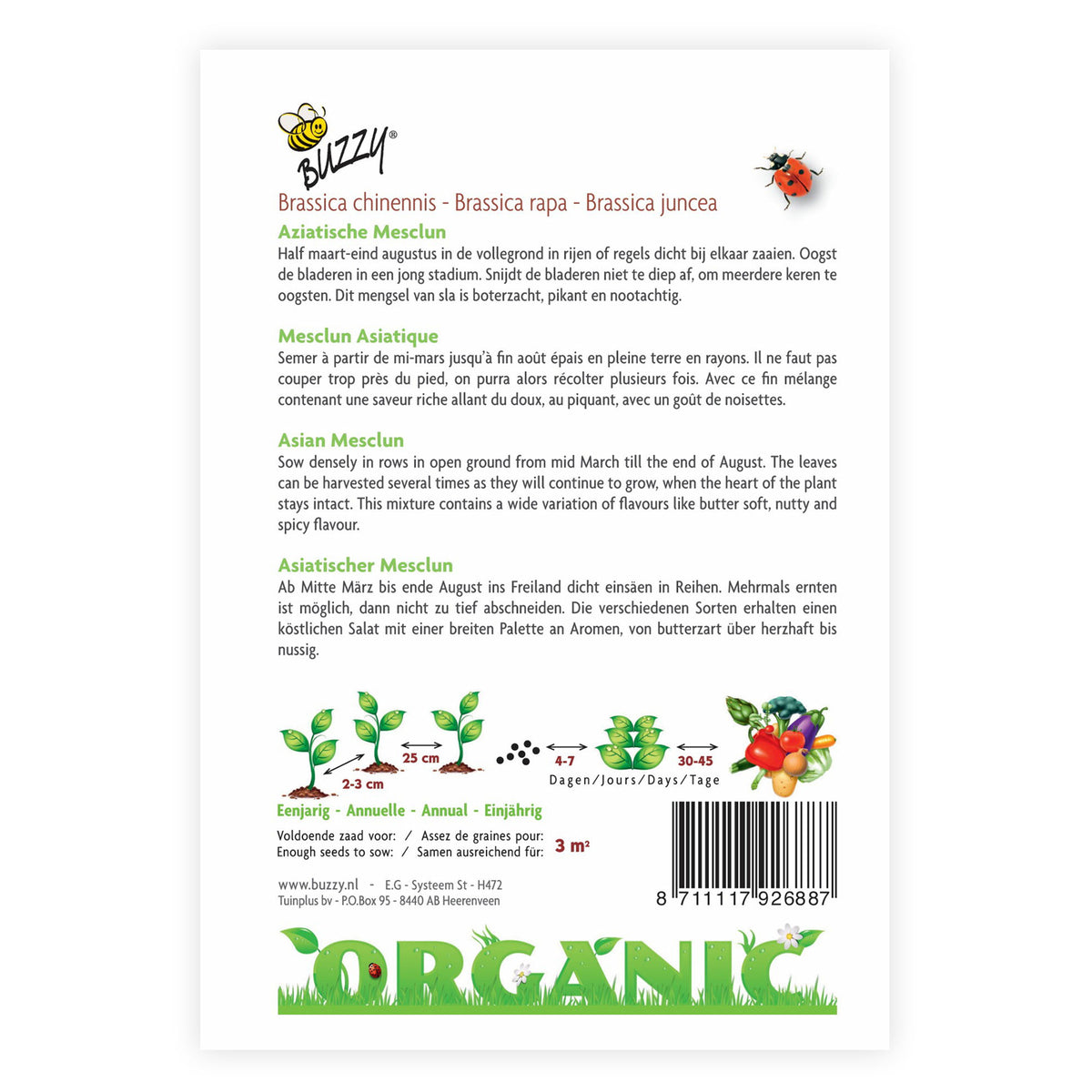 Mesclun Brassica chinennis - Organic 3 m² - Vegetable seeds