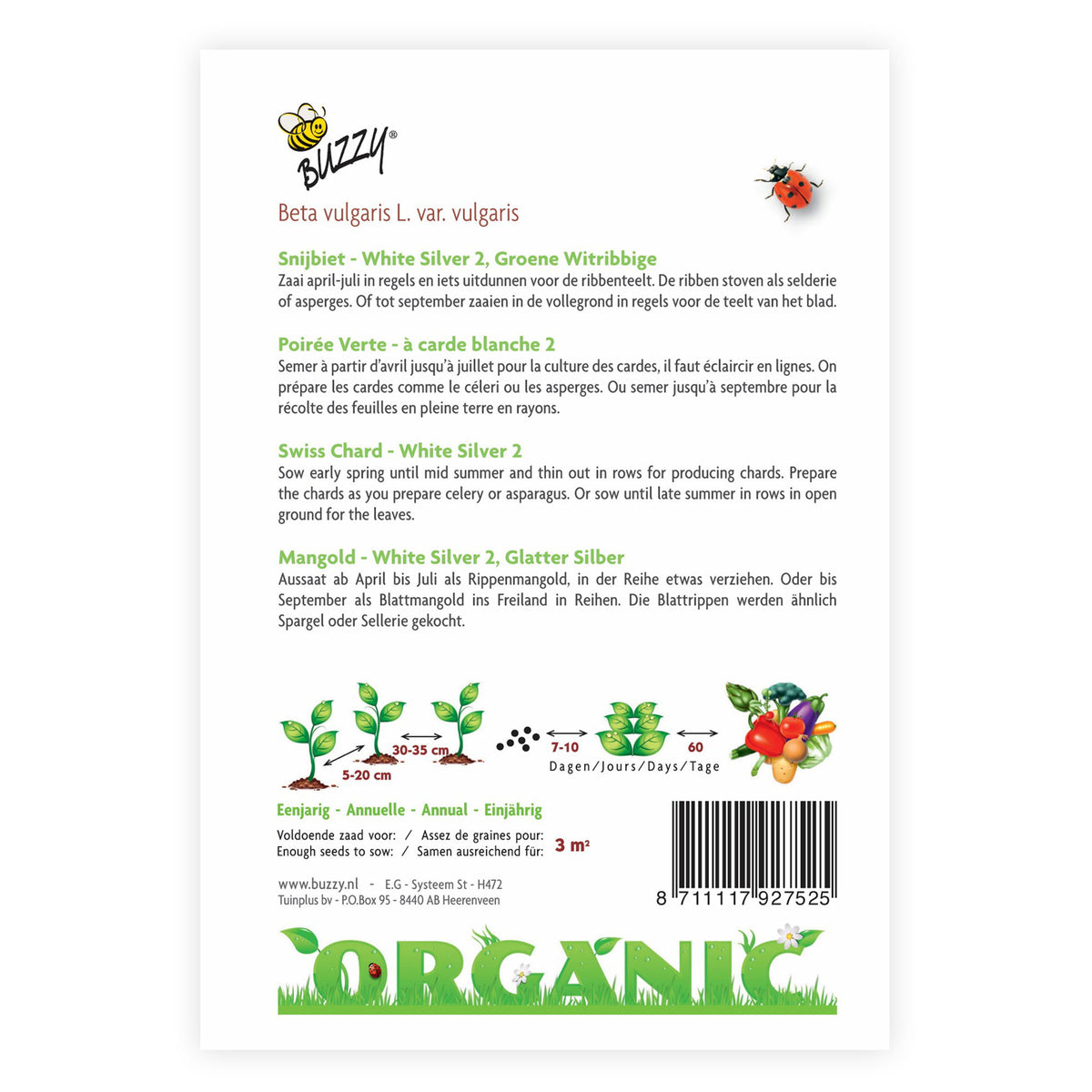 Swiss chard Beta 'White Silver 2' - Organic 3 m² - Vegetable seeds
