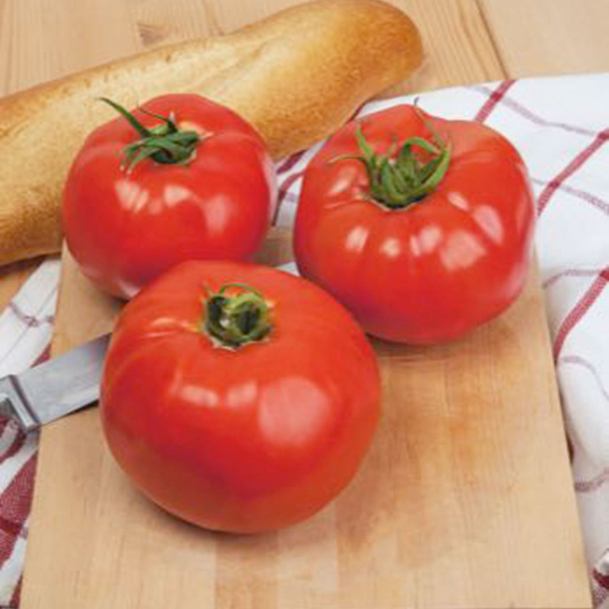 Tomato Solanum 'Ace' - Organic 25 m² - Vegetable seeds