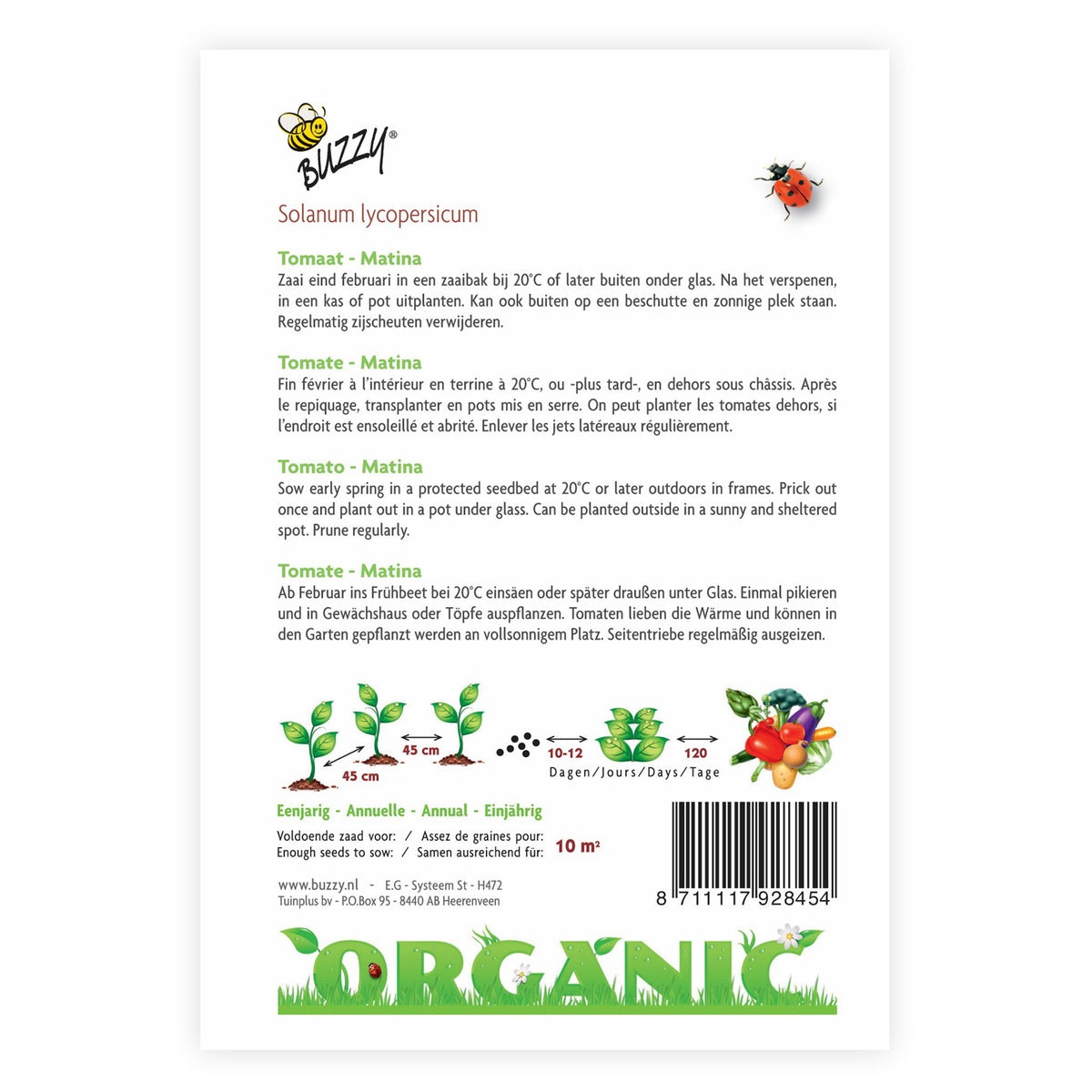 Tomato Solanum 'Matina' - Organic 10 m² - Vegetable seeds