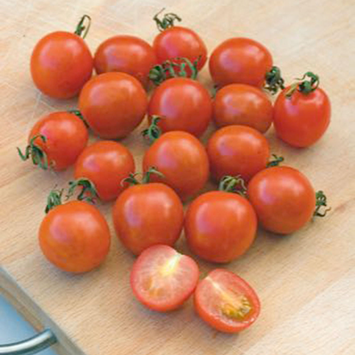 Cherry tomato Solanum 'Koralik' - Organic - Vegetable seeds