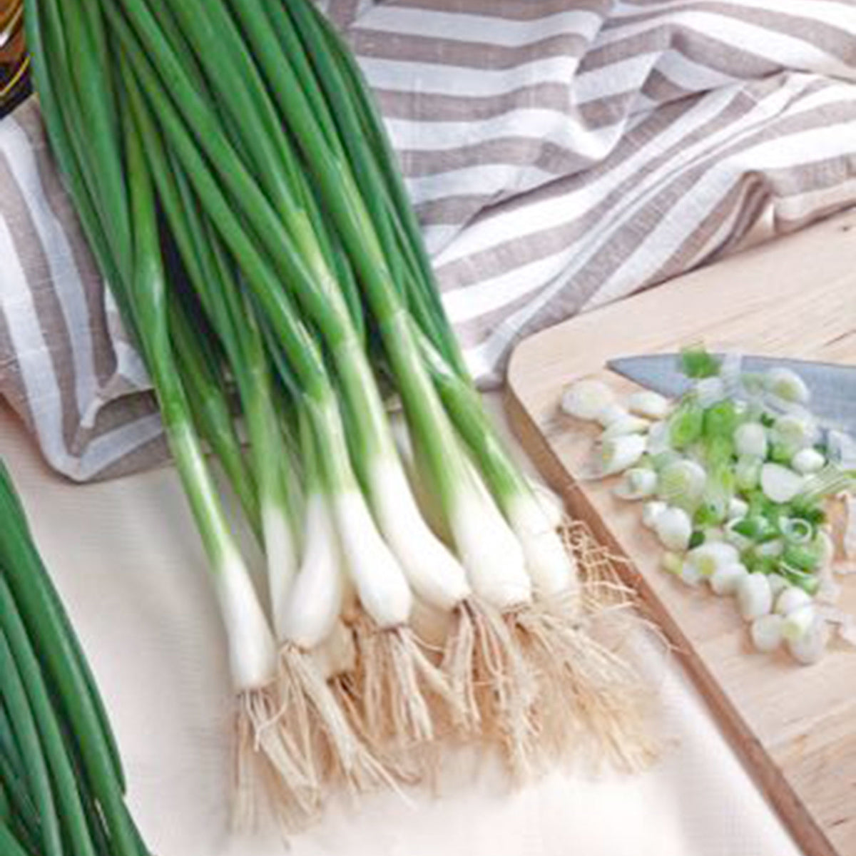 Scallion Allium 'White Lisbon' - Organic 2,25 m² - Vegetable seeds