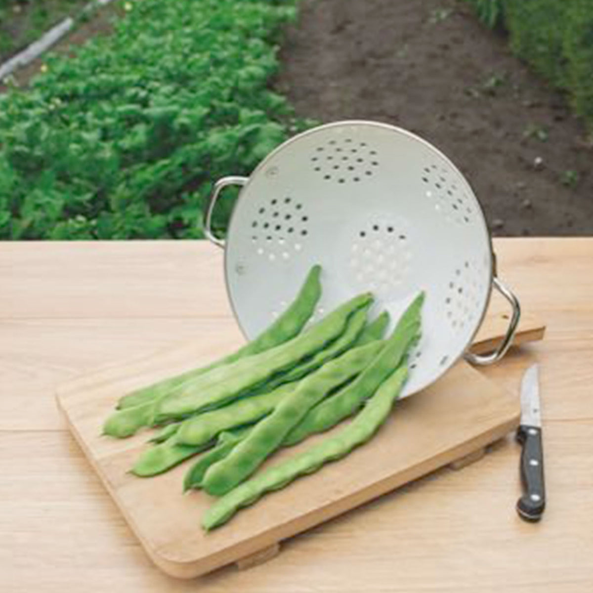 Flat Bean Phaseolus 'Helda' - Bio 12 m² - Vegetable seeds