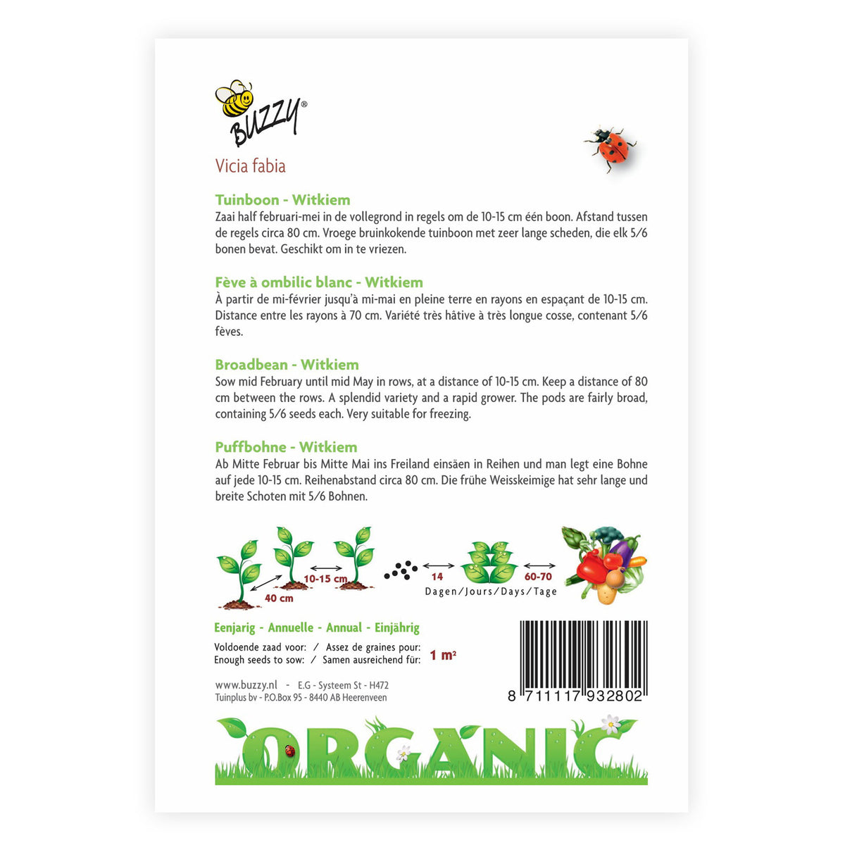 Broad beans Vicia 'Witkiem' - Organic 1 m² - Vegetable seeds