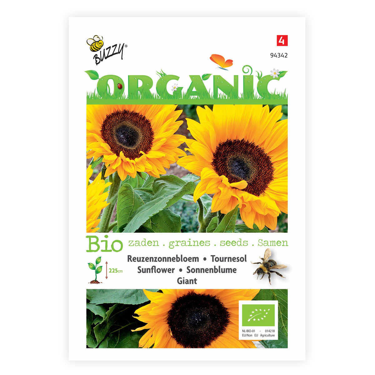 Sunflower Helianthus 'Giganteus' - Organic yellow 6 m² - Flower seeds