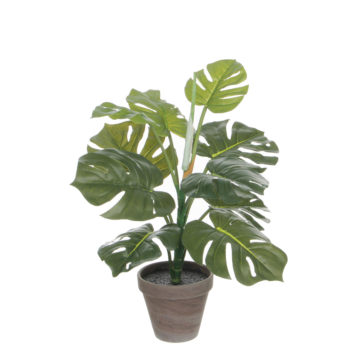 Artificial plant Swiss cheese plant Monstera Incl. round earthenware decorative pot