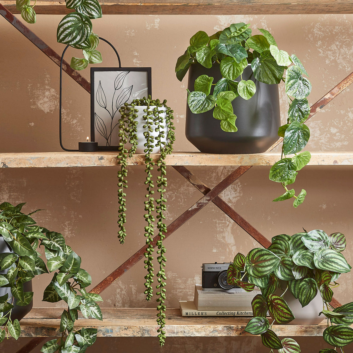 Artificial plant Succulent Senecio 'Pearl'