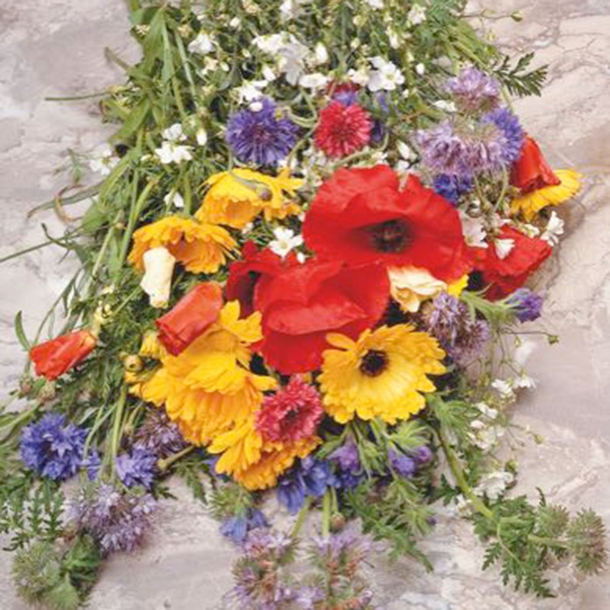 Wildflowers Mix - Organic 2 m² - Flower seeds