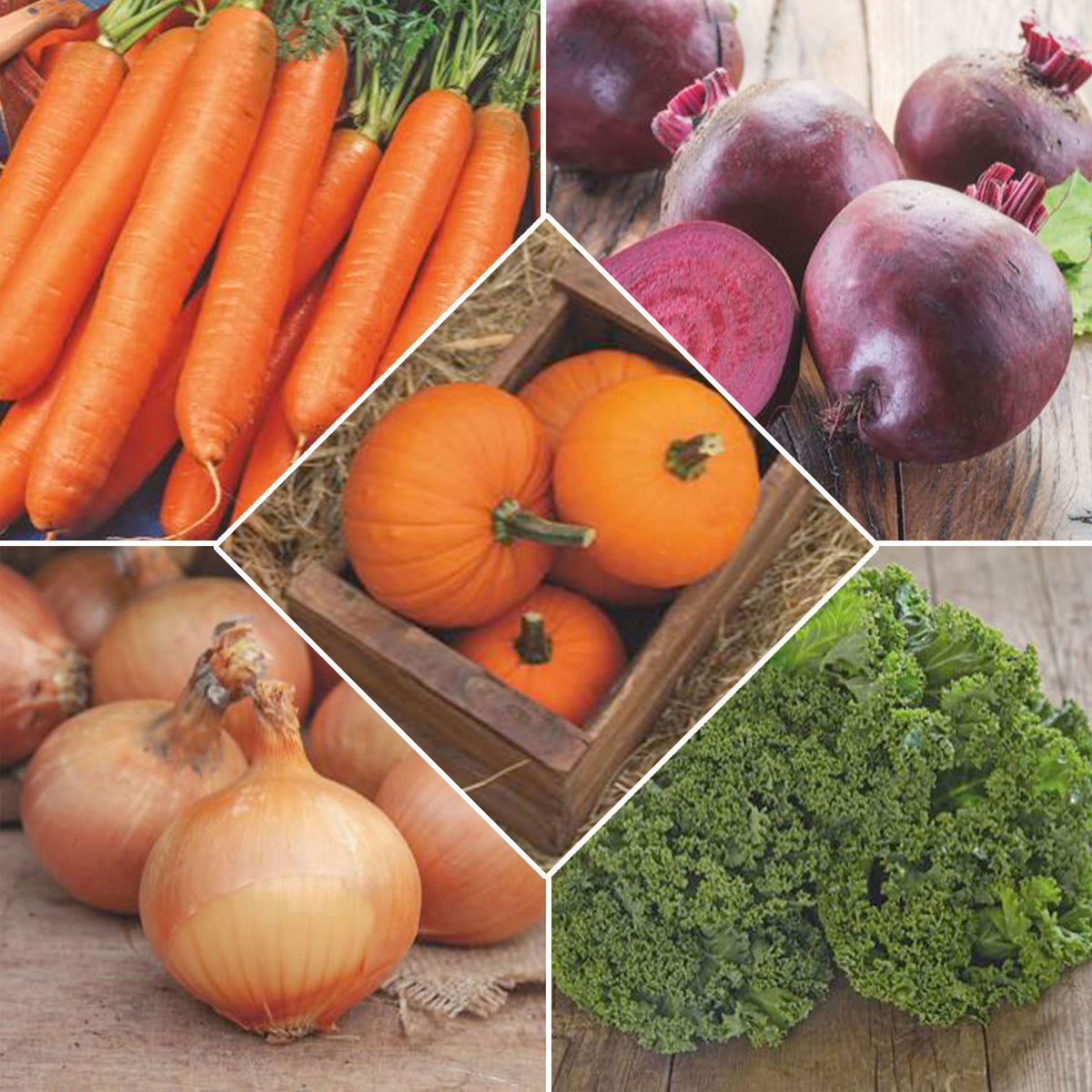 Winter vegetable package 'Warm Winter' - Vegetable seeds
