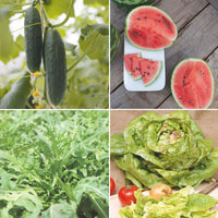Summer package 'Summer Seasonings' - Organic Vegetable seeds, herb seeds, fruit seeds