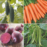 Children’s vegetable gardening starter package 'Easy Edibles' - Organic - Vegetable seeds