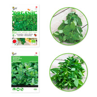 2x Herbal tea package 'Tingly Teas' - Herb seeds