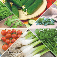Urban garden package 'Downtown Delicious' Vegetable seeds, herb seeds