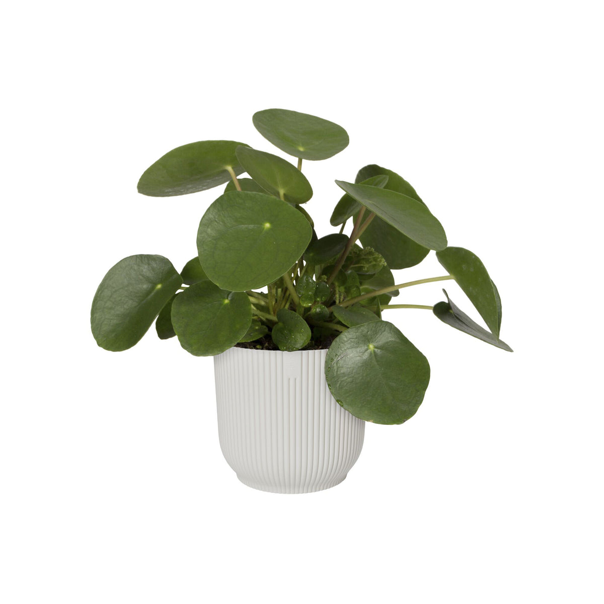 Elho flower pot Vibes Fold round white - Indoor pot