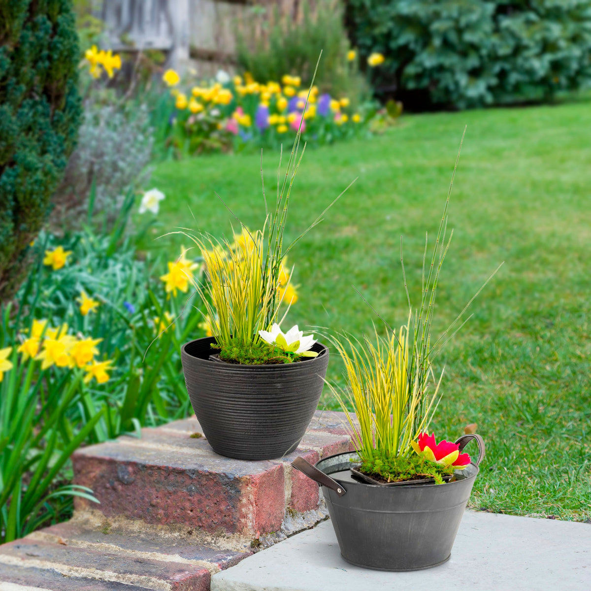 Patio pond - Mix 'Submerged Sublime' anthracite including three aquatic plants