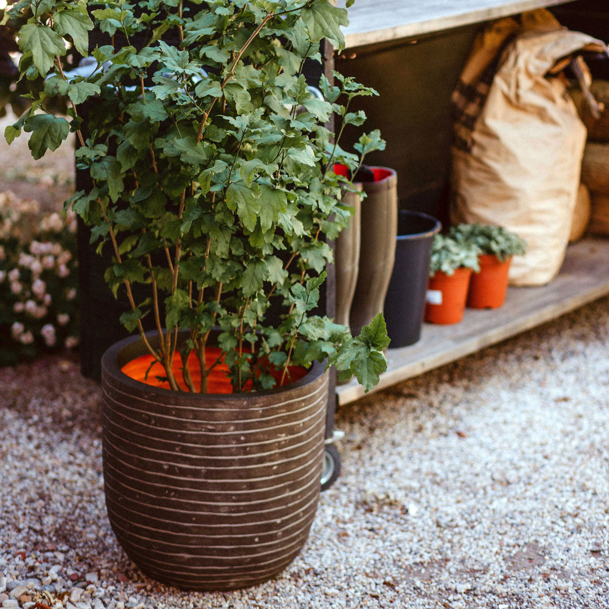 Capi flower pot Nature row round green - Indoor and outdoor pot