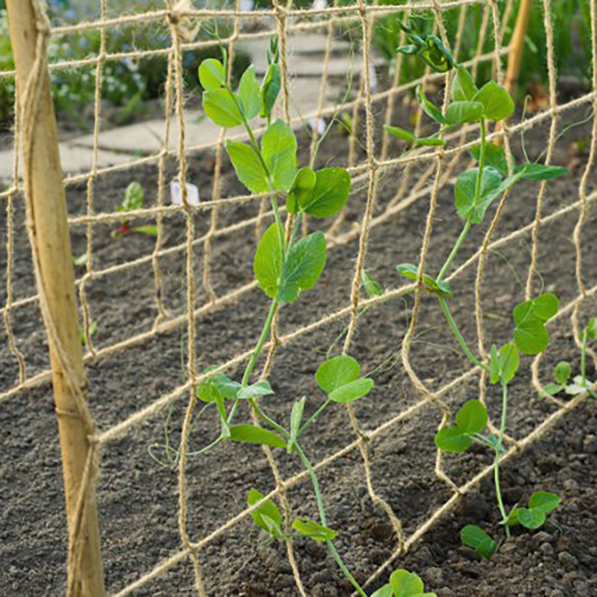 Nature Jute climbing net
