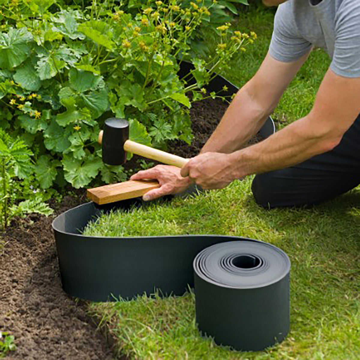 Nature Border edge black