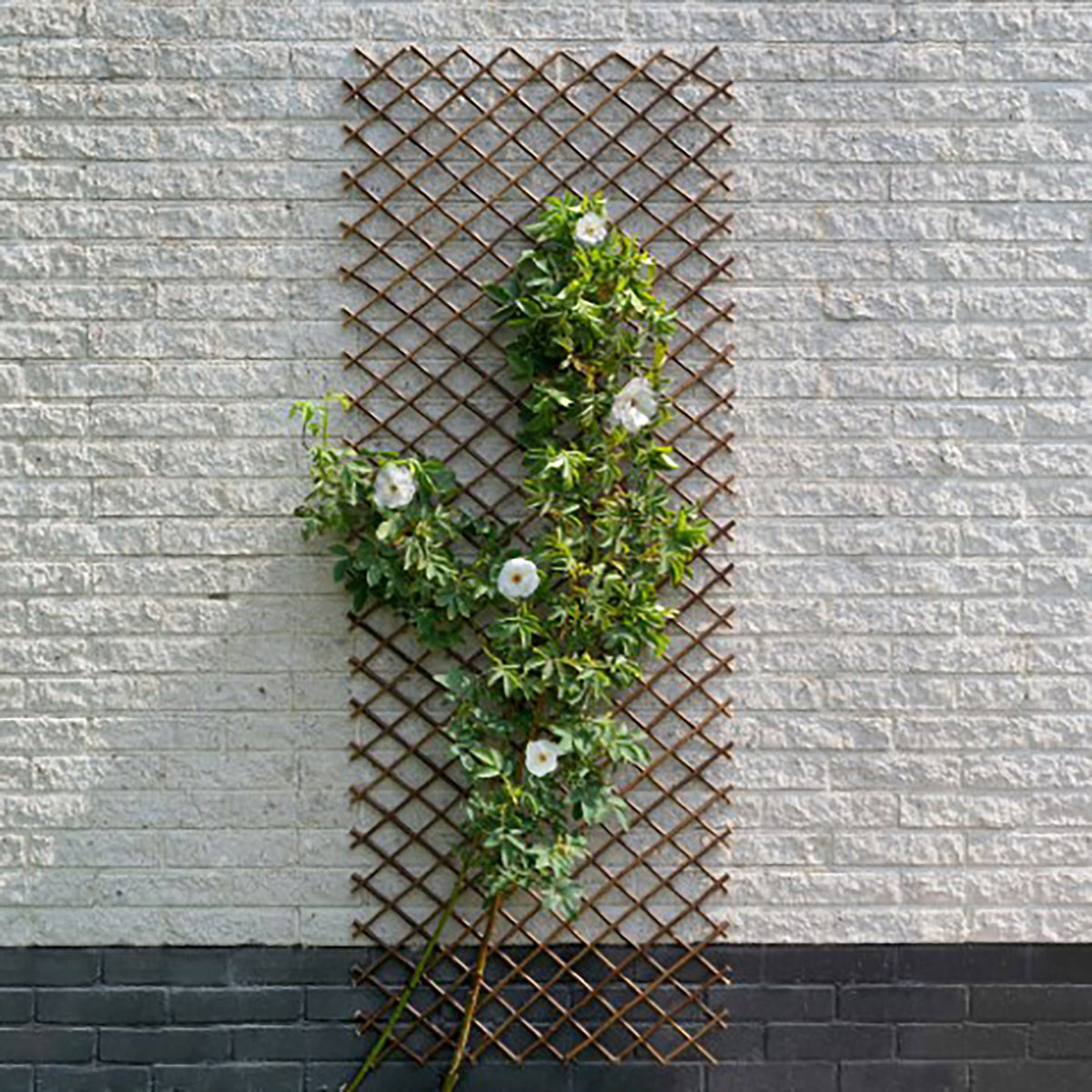 Nature Wooden trellis