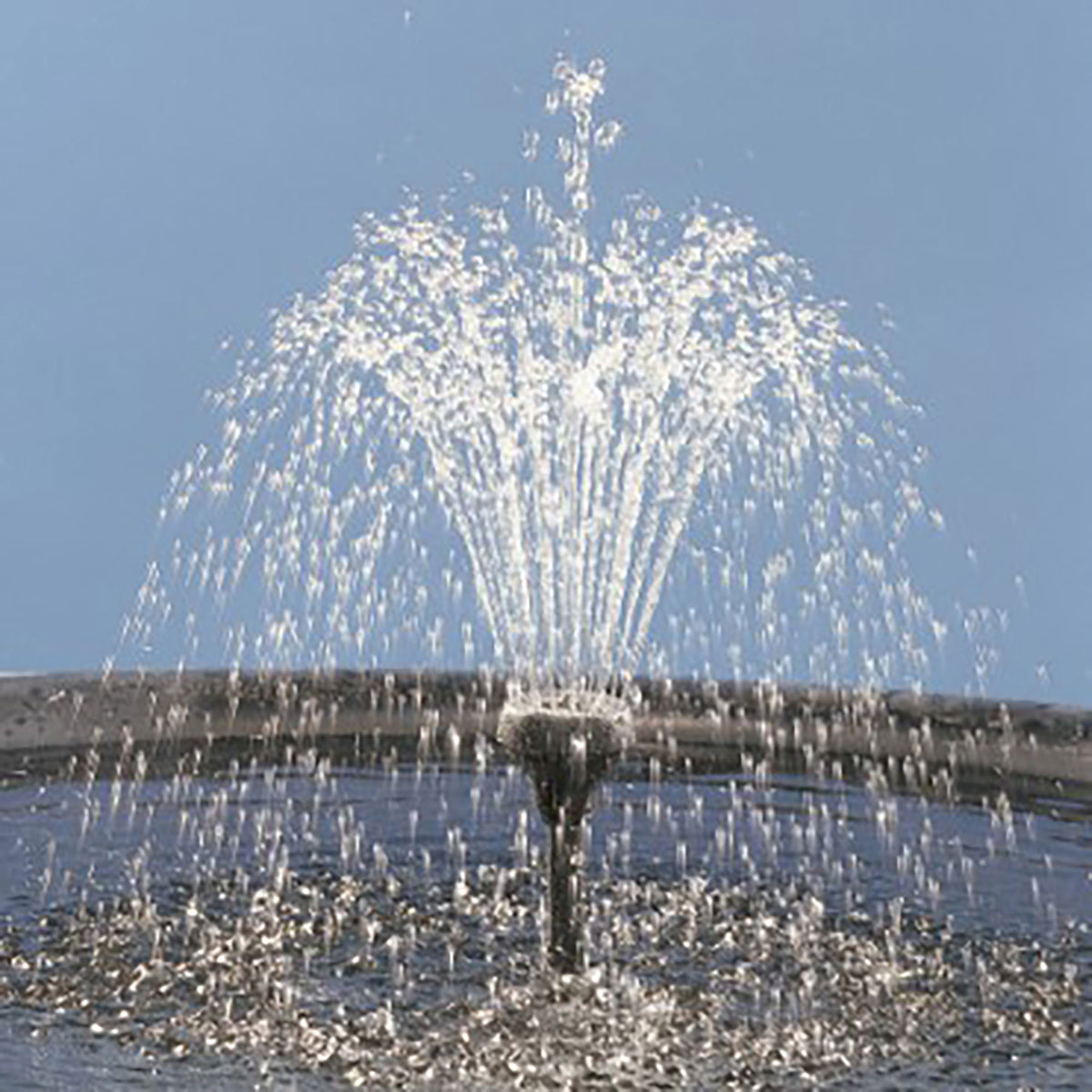 Pond pump