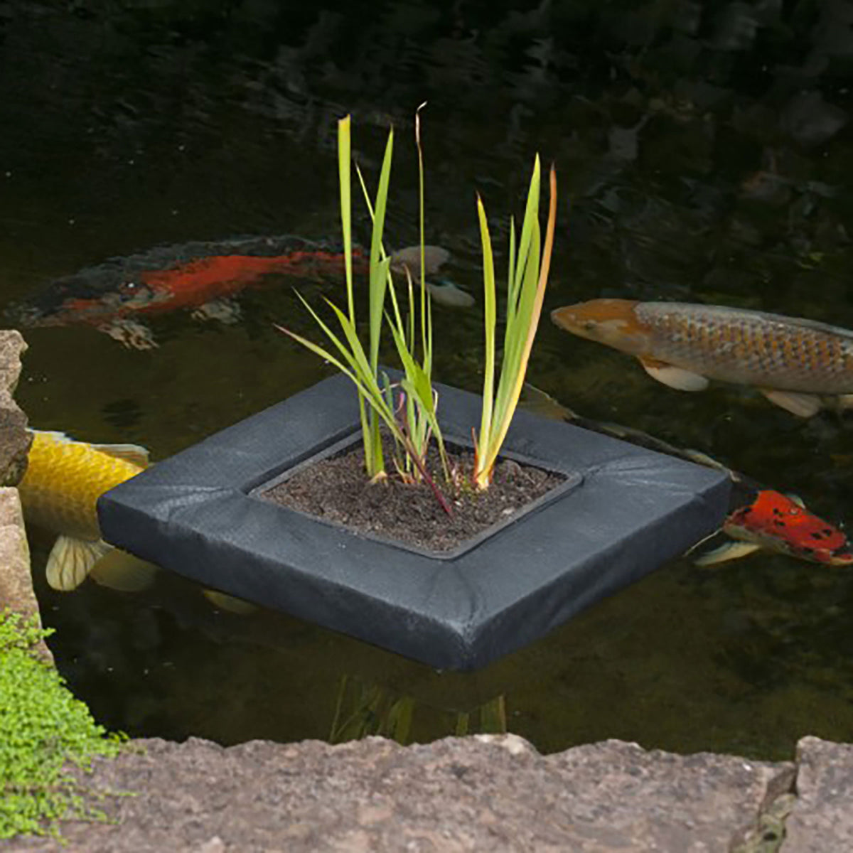 Floating plant bag