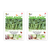 Celery Apium 'Tall Utah' - Organic 20 m² - Vegetable seeds