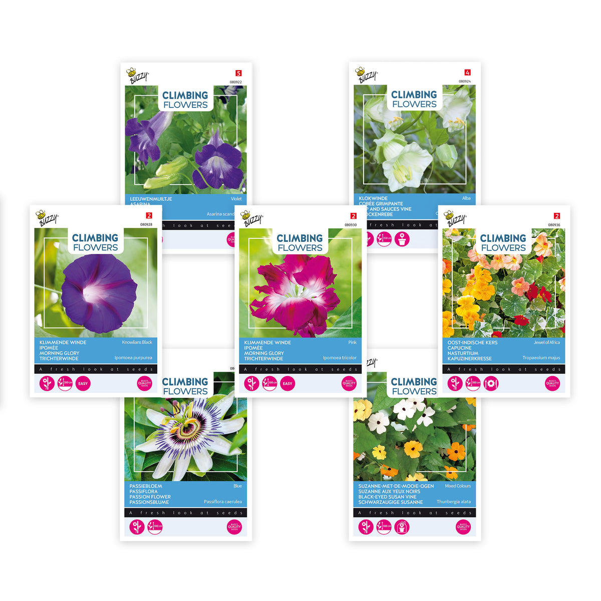 Climbing flowers package 'Heavenly heights' 42 m² - Flower seeds