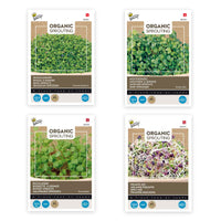Herb package 'Thrilling tastes' - Organic - Herb seeds