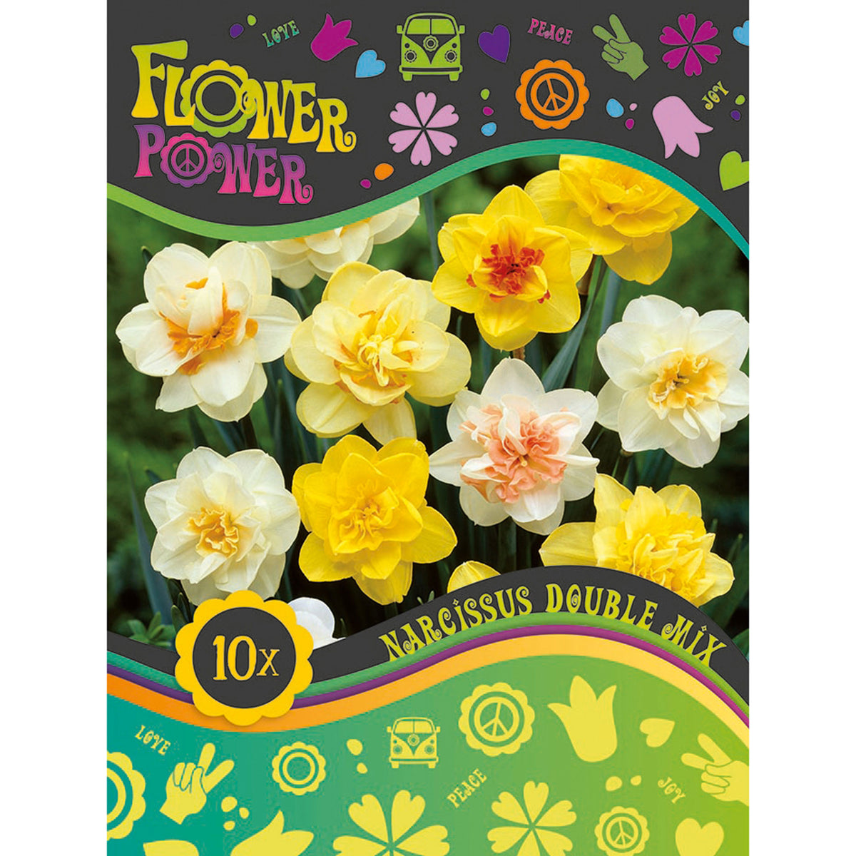10x Daffodil Narcissus - Mix 'Double Trouble'