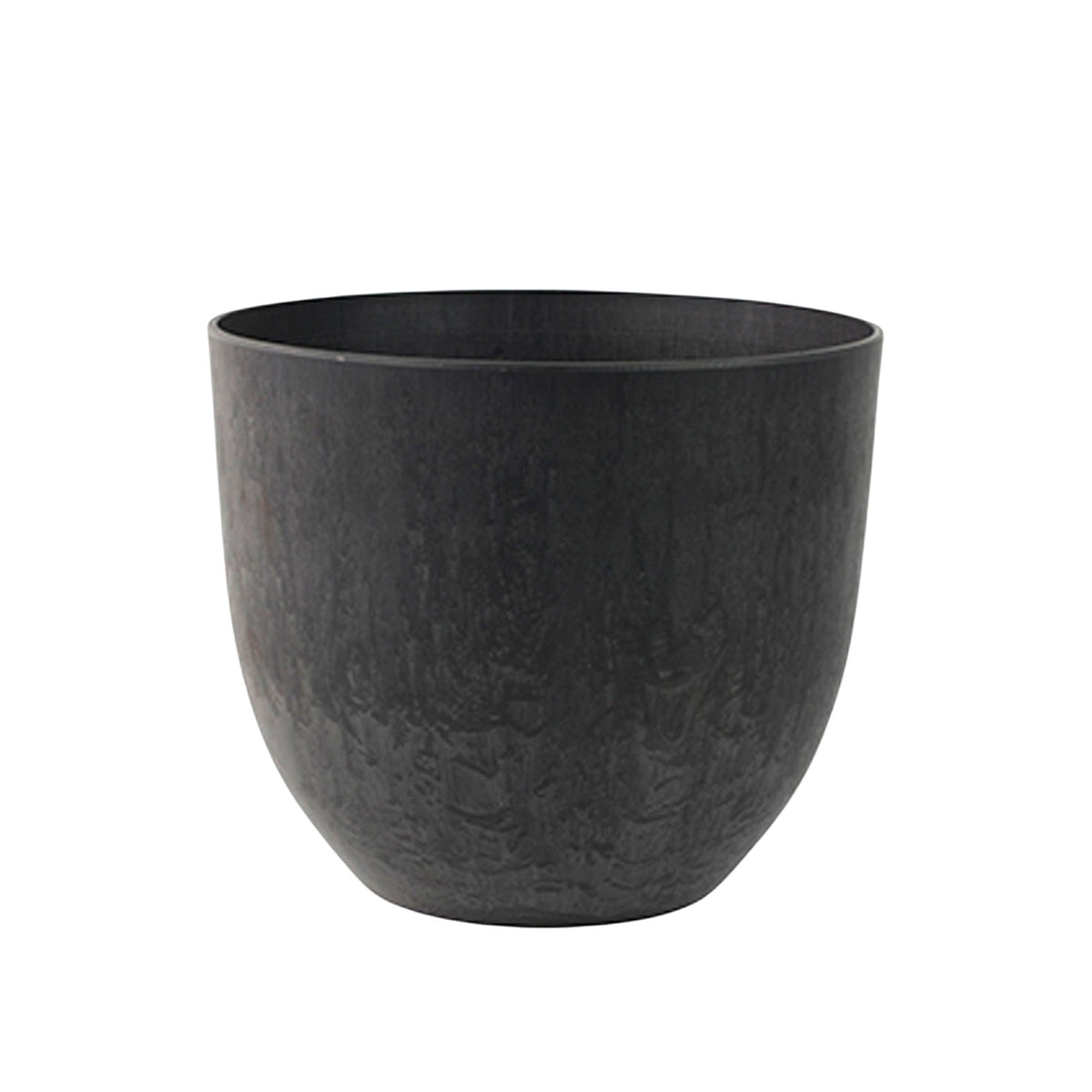 Buxus sempervirens incl. decorative pot Black