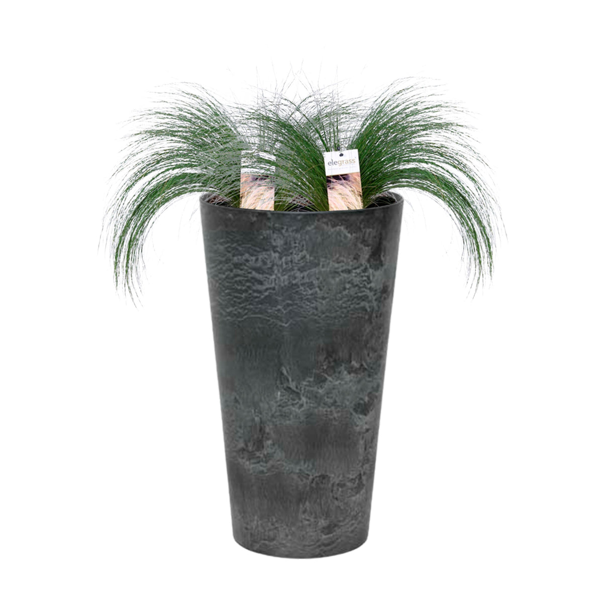 2x Stipa 'Ponytails' green incl. decorative pot