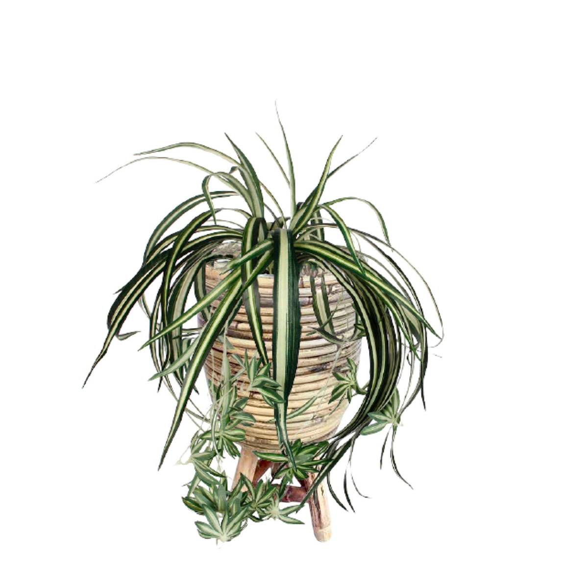 Chlorophytum hanging green artificial plant incl. brown decorative pot