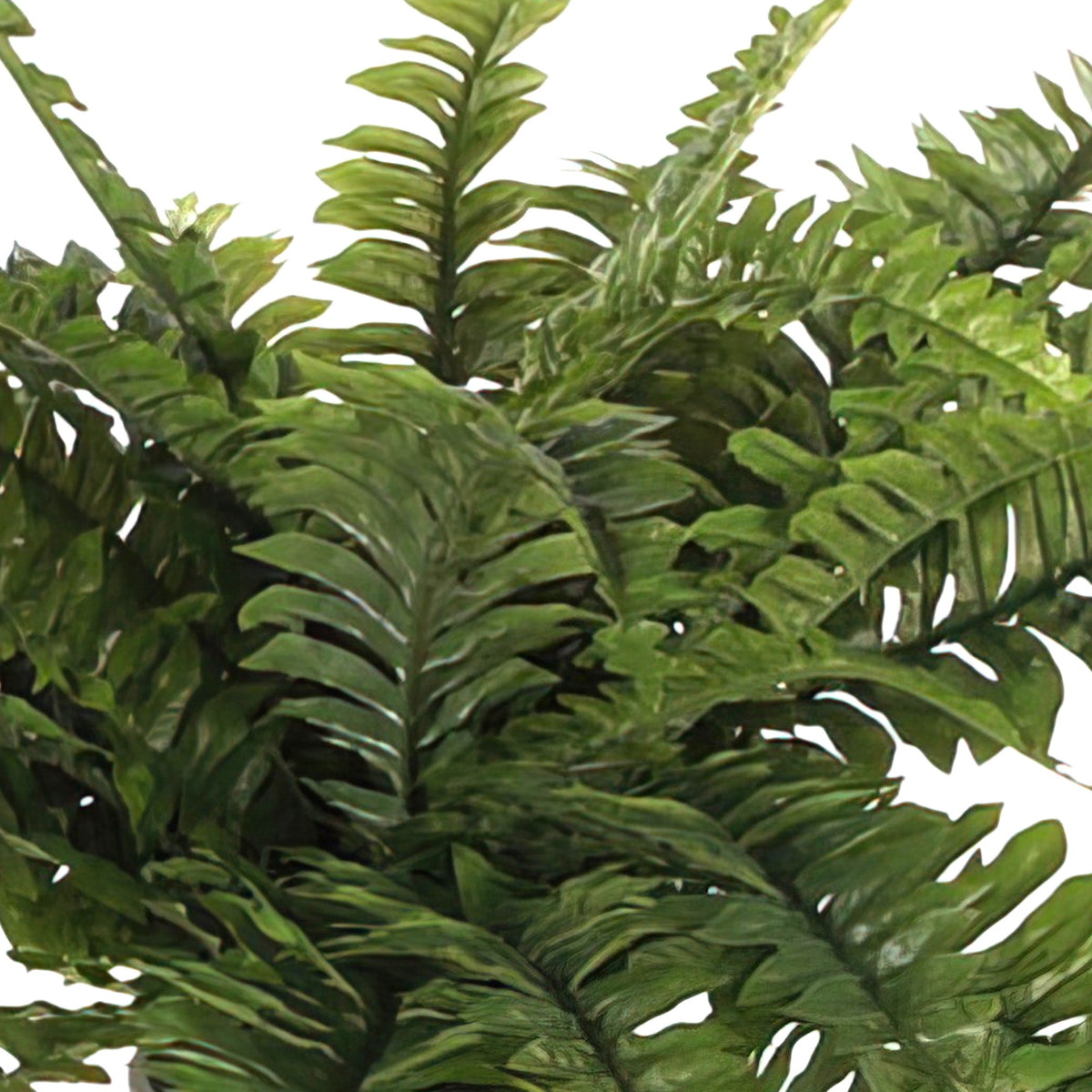 'Boston' artificial fern incl. decorative blue pot