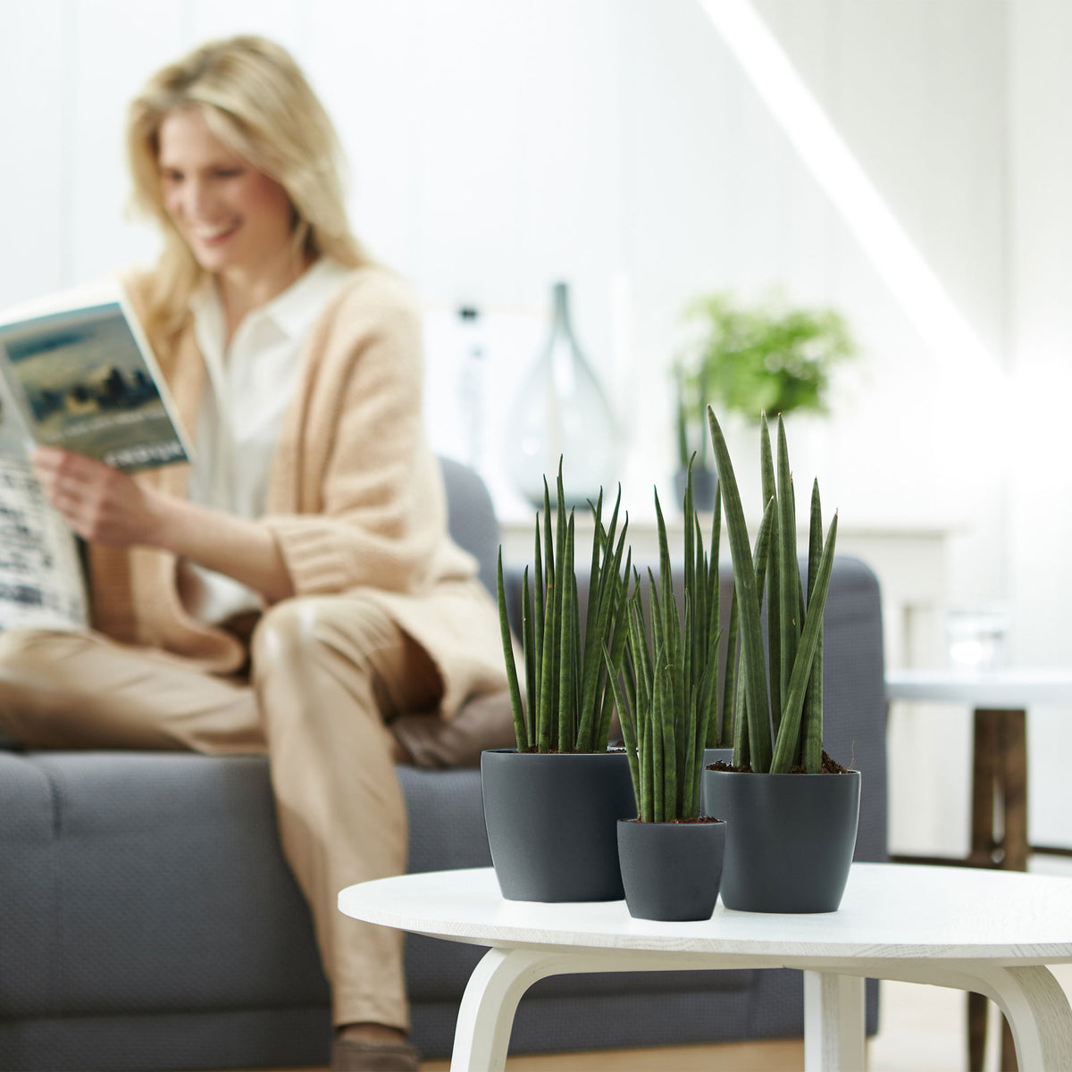 3x Elho Flower Pot Brussels round anthracite in three sizes - Indoor pot