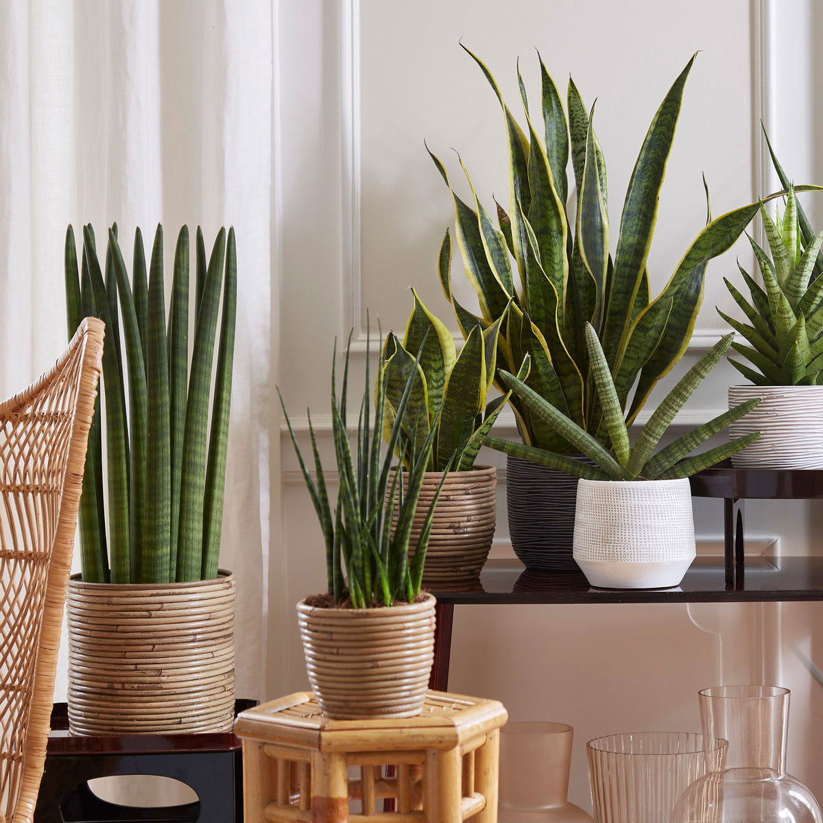 2x Striped rattan flower pot round grey - Indoor and outdoor pot