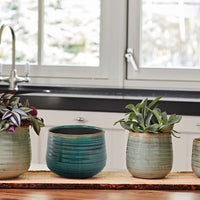 2x TS Flower Pot Iris round blue-green - Indoor pot