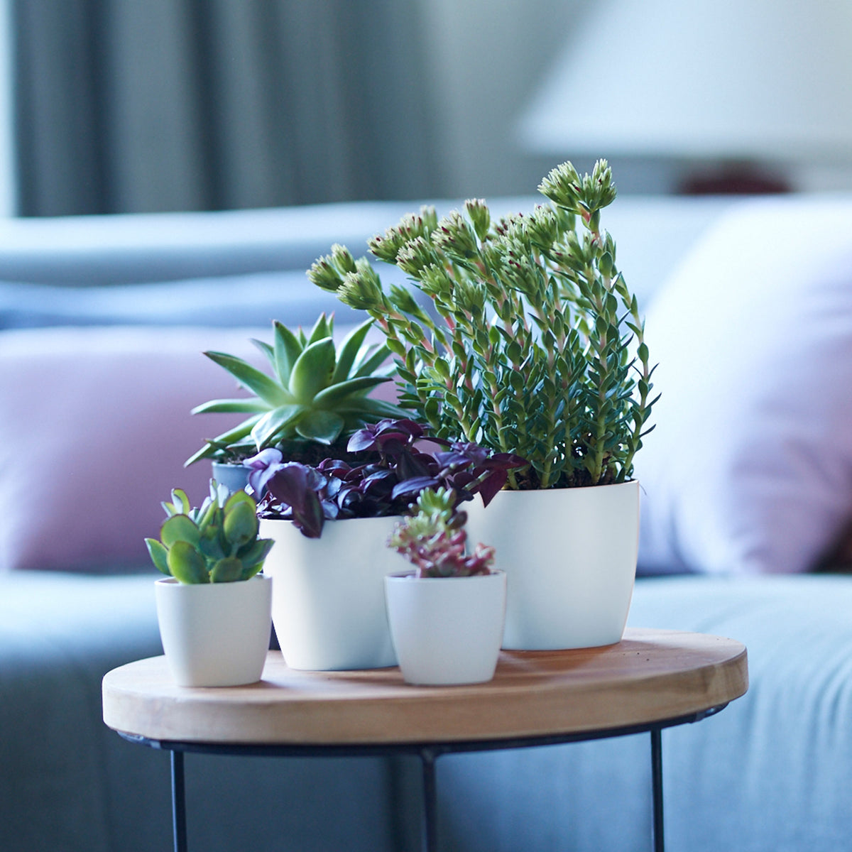 3x Elho Flower Pot Brussels round white in three sizes - Indoor pot