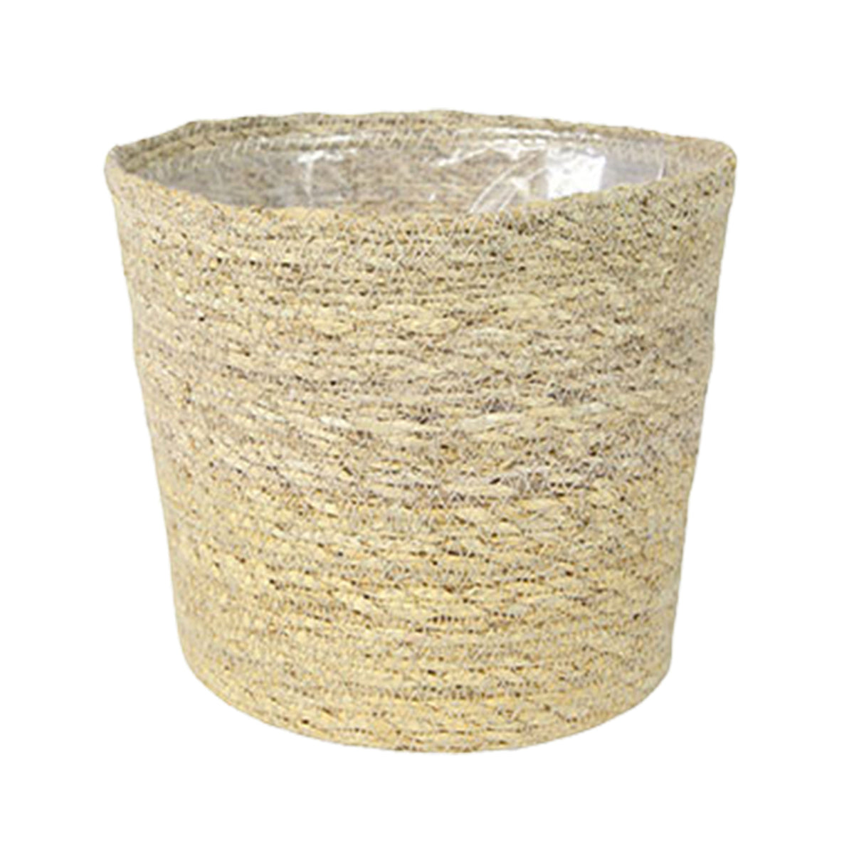 ZZ Plant Zamioculcas zamiifolia incl. natural-coloured wicker basket