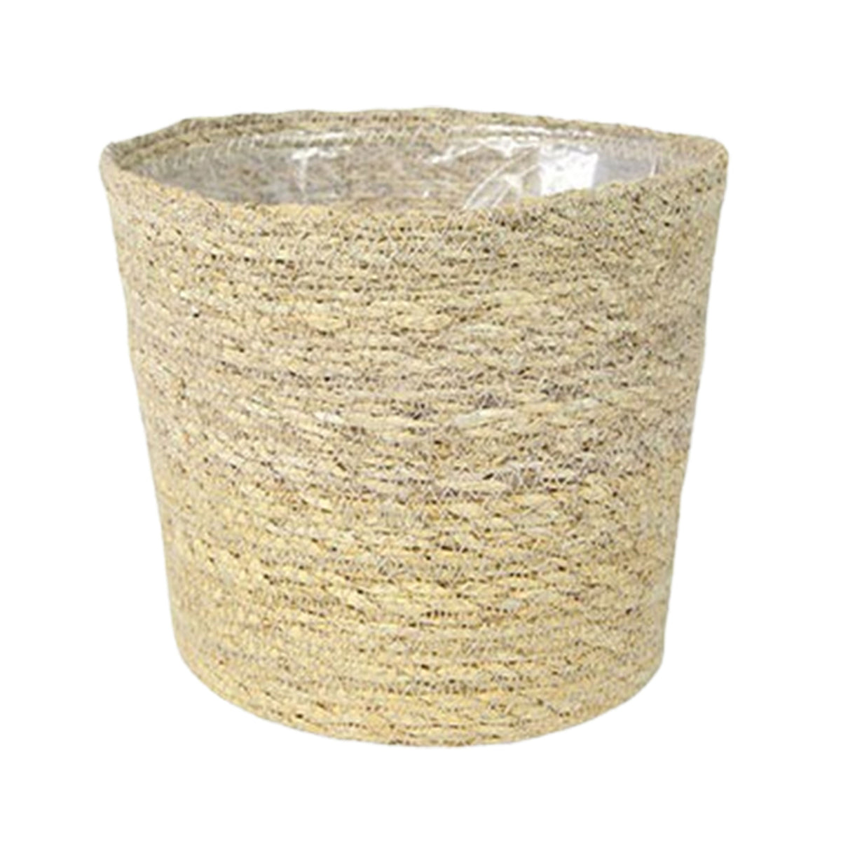 Areca palm Dypsis lutescens with natural-coloured wicker basket